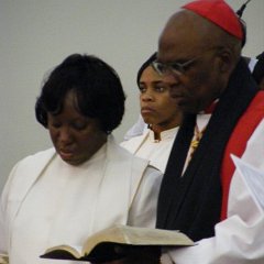 IMG 0711