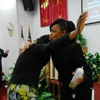 IMG 2855